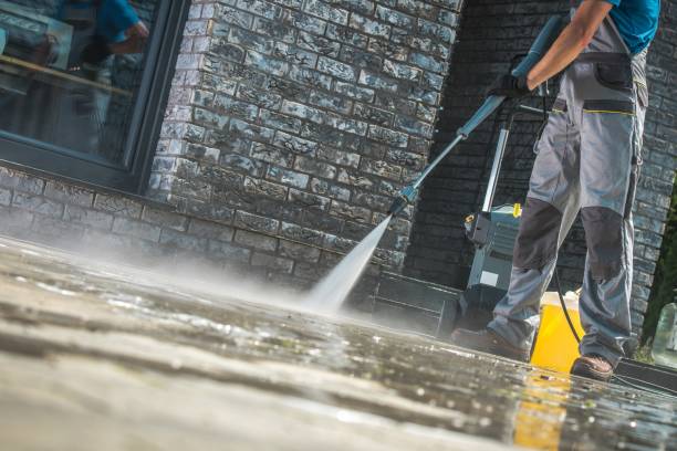 Best Animal Enclosure Cleaning  in Rochester, WA