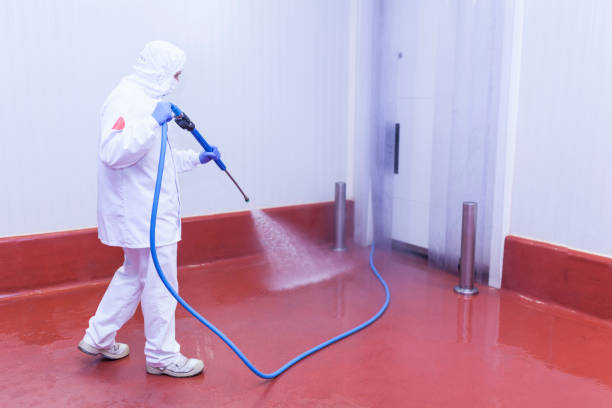 Best Fleet Vehicle Washing  in Rochester, WA