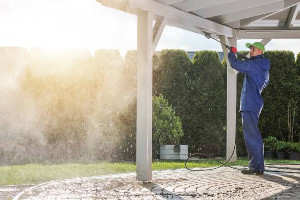 Pre-Holiday Cleaning in Rochester, WA