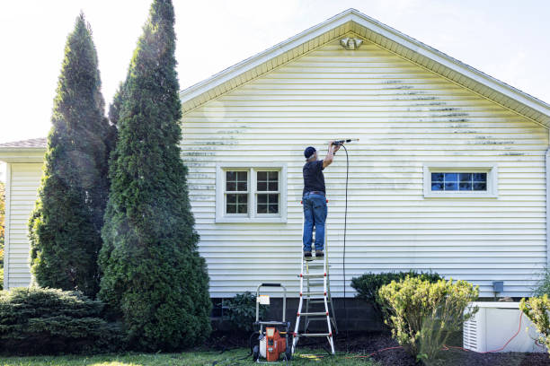 Best Building Exterior Washing  in Rochester, WA