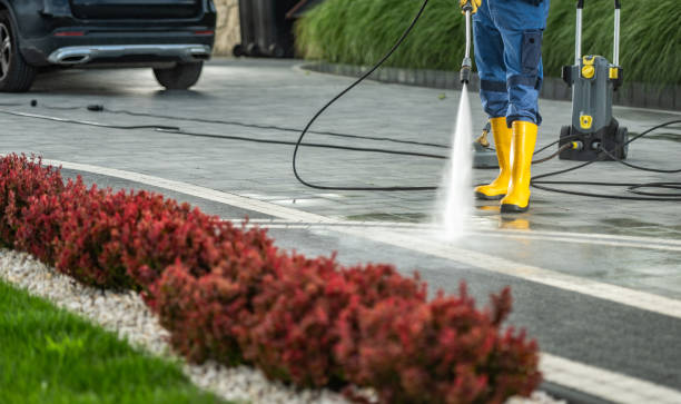 Best Graffiti Removal  in Rochester, WA