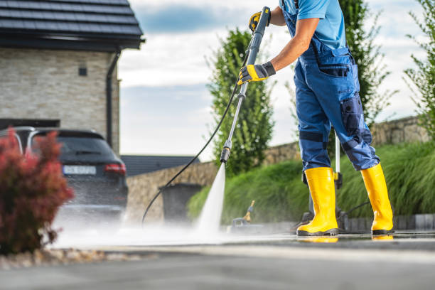 Animal Enclosure Cleaning in Rochester, WA
